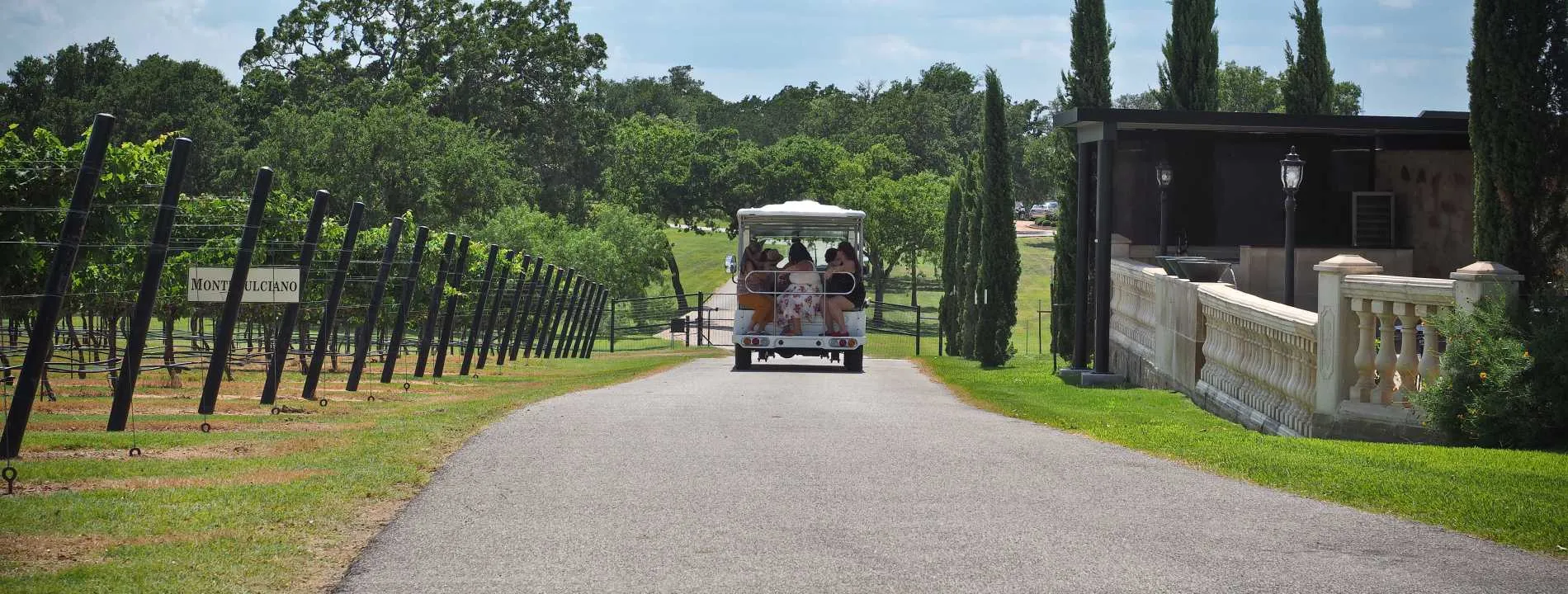Local Winery